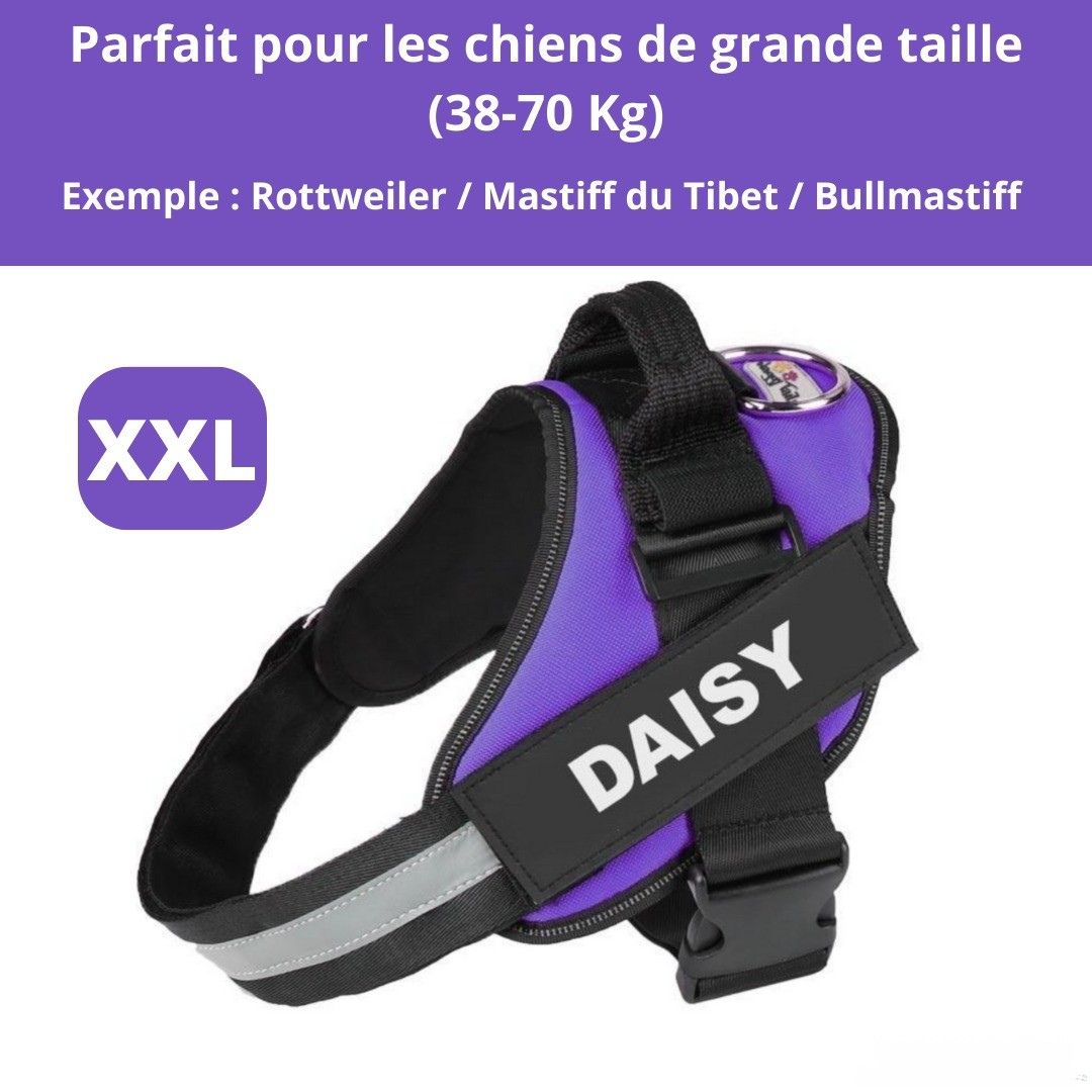 Harnais ComfortPro – Offrez à votre chien un confort inégalé !
