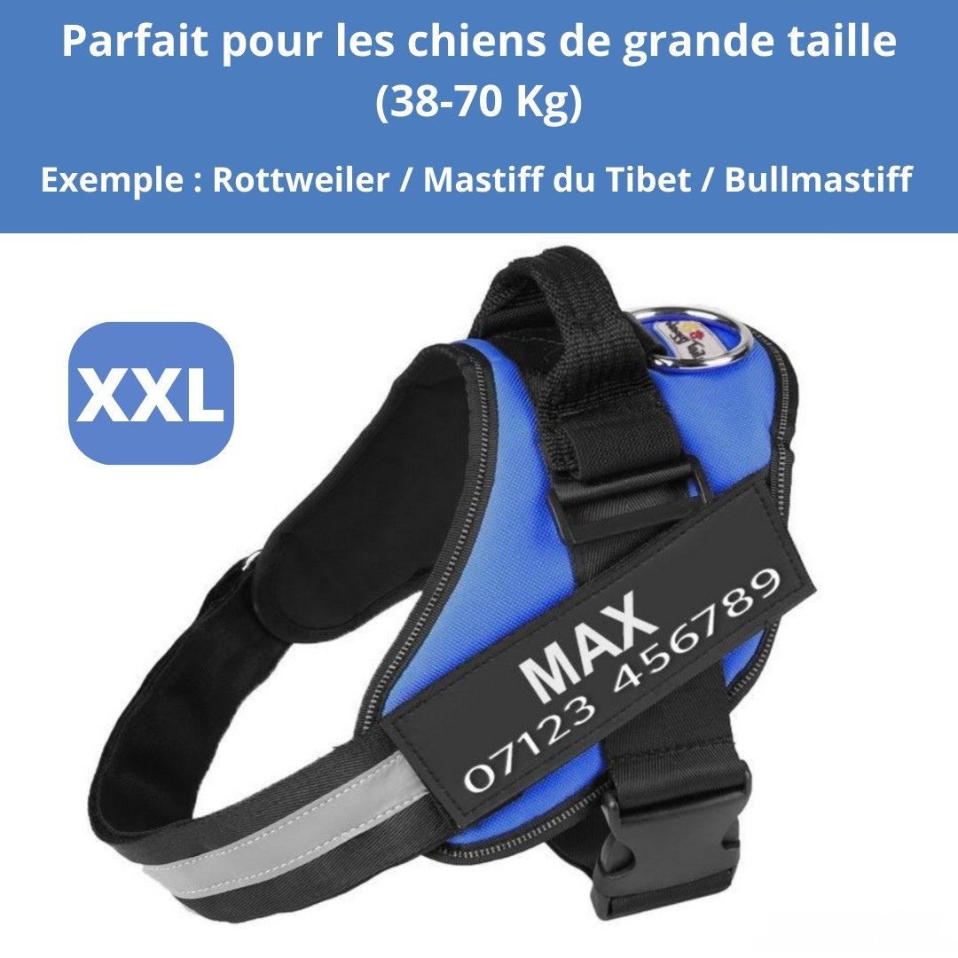 Harnais ComfortPro – Offrez à votre chien un confort inégalé !