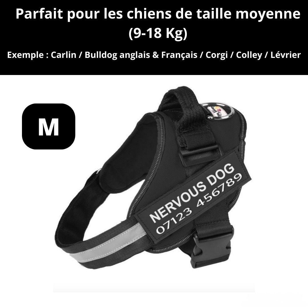 Harnais ComfortPro – Offrez à votre chien un confort inégalé !