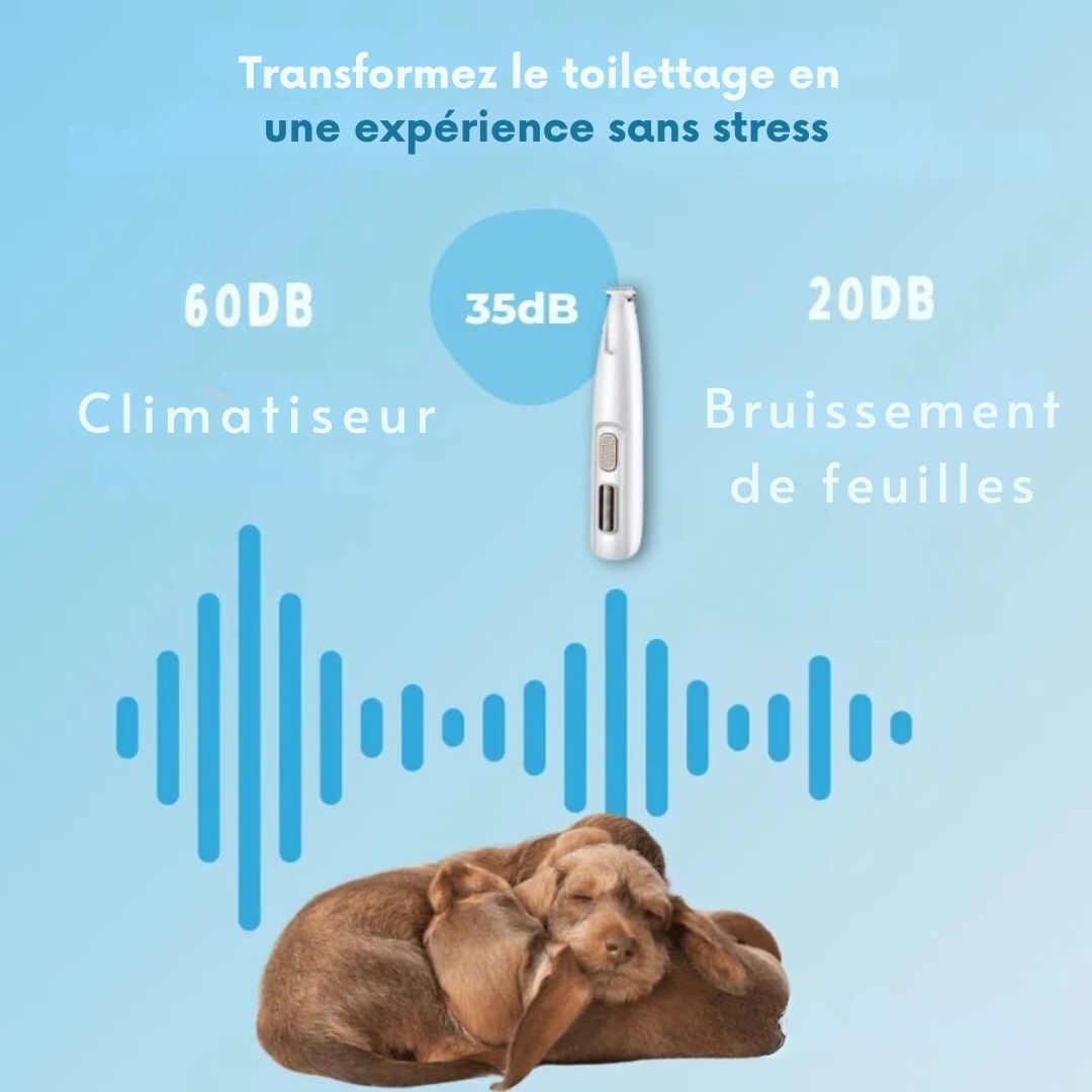 Tondeuse DoucePatte – Des coussinets nets, sans stress