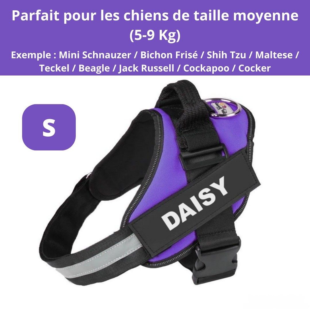 Harnais ComfortPro – Offrez à votre chien un confort inégalé !