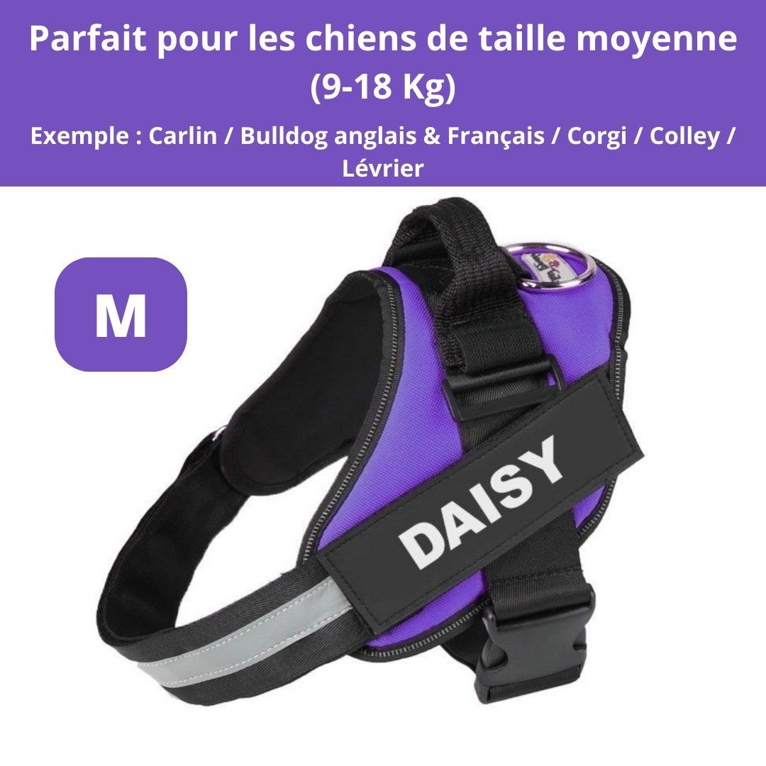 Harnais ComfortPro – Offrez à votre chien un confort inégalé !