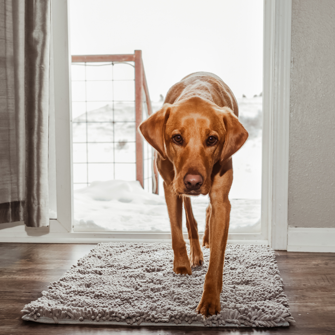 Tapis Absorbant Premium – Propreté garantie pour votre intérieur