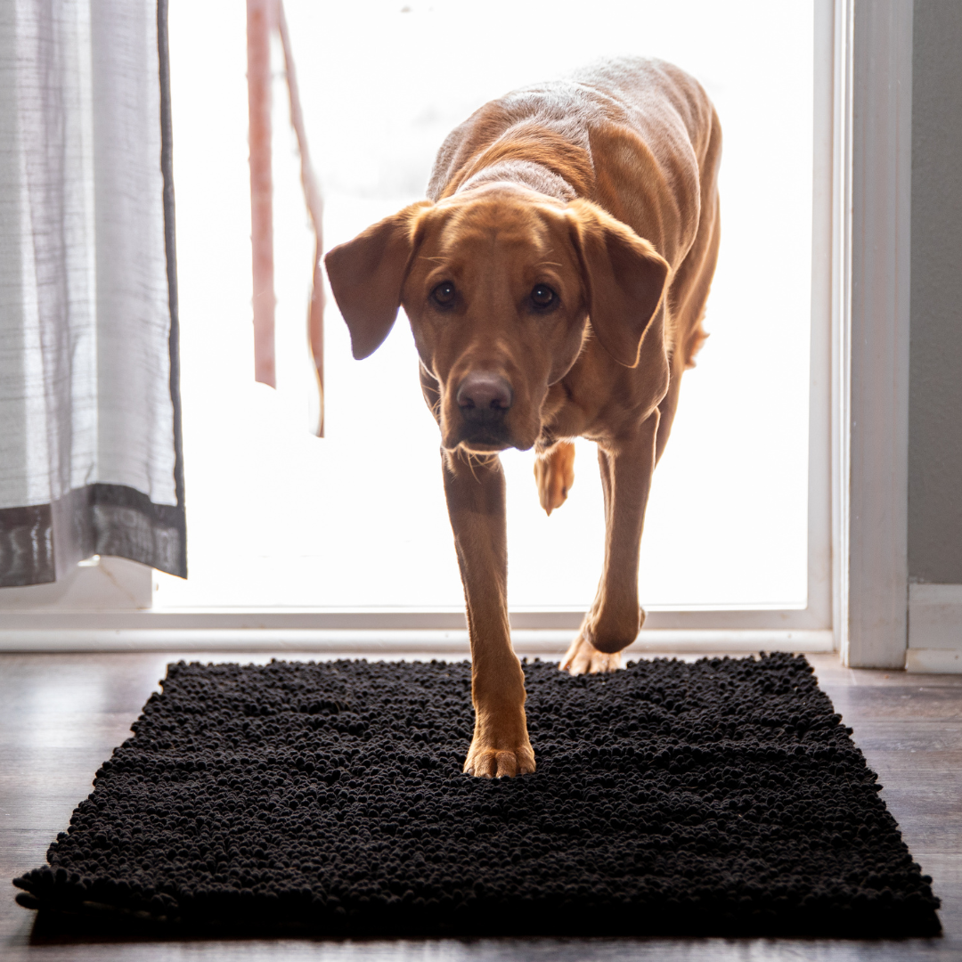 Tapis Absorbant Premium – Propreté garantie pour votre intérieur