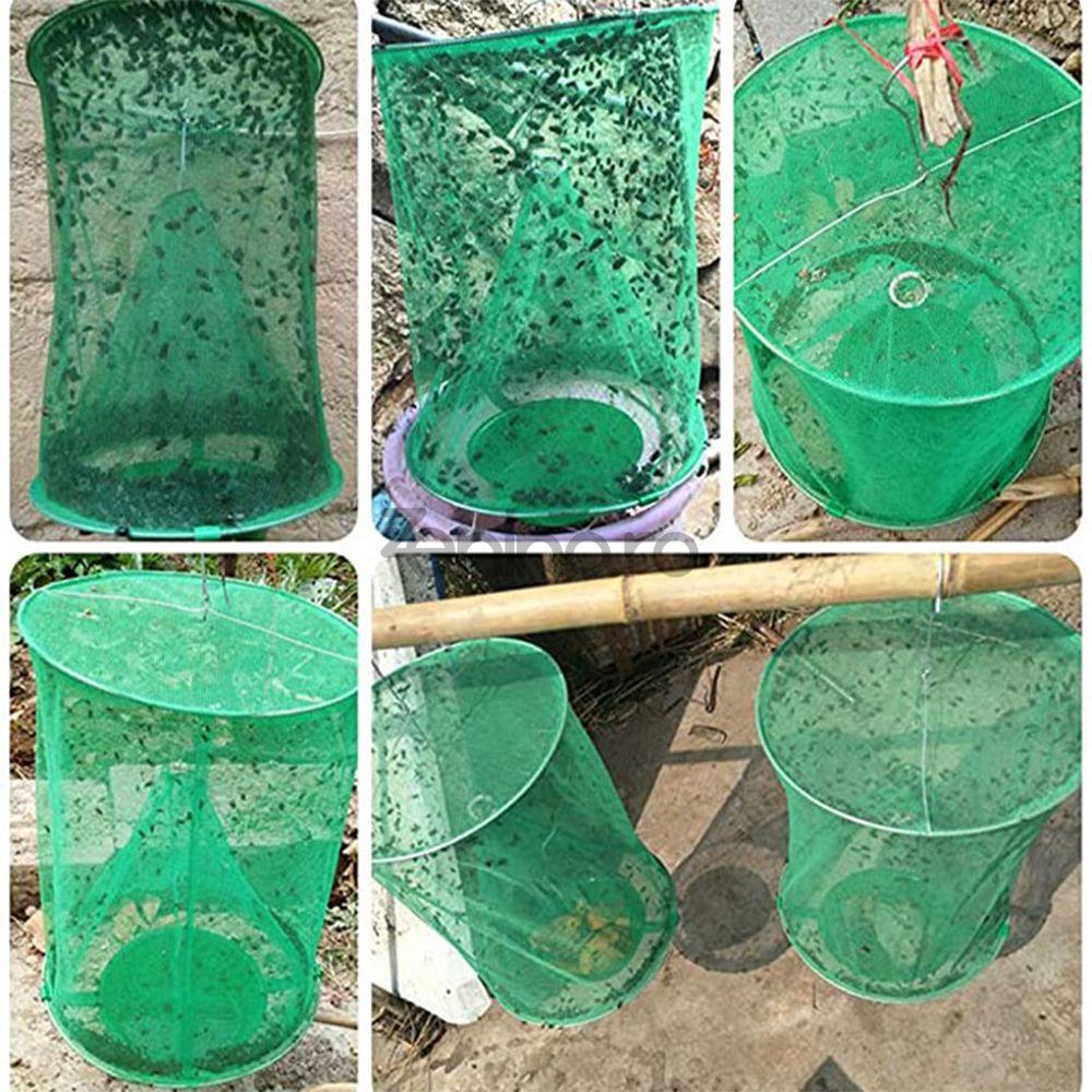 Piège à Insectes Extérieur – Protégez votre jardin sans produits chimiques