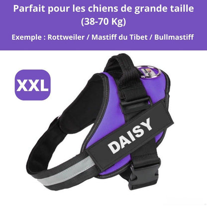 Harnais ComfortPro – Offrez à votre chien un confort inégalé !