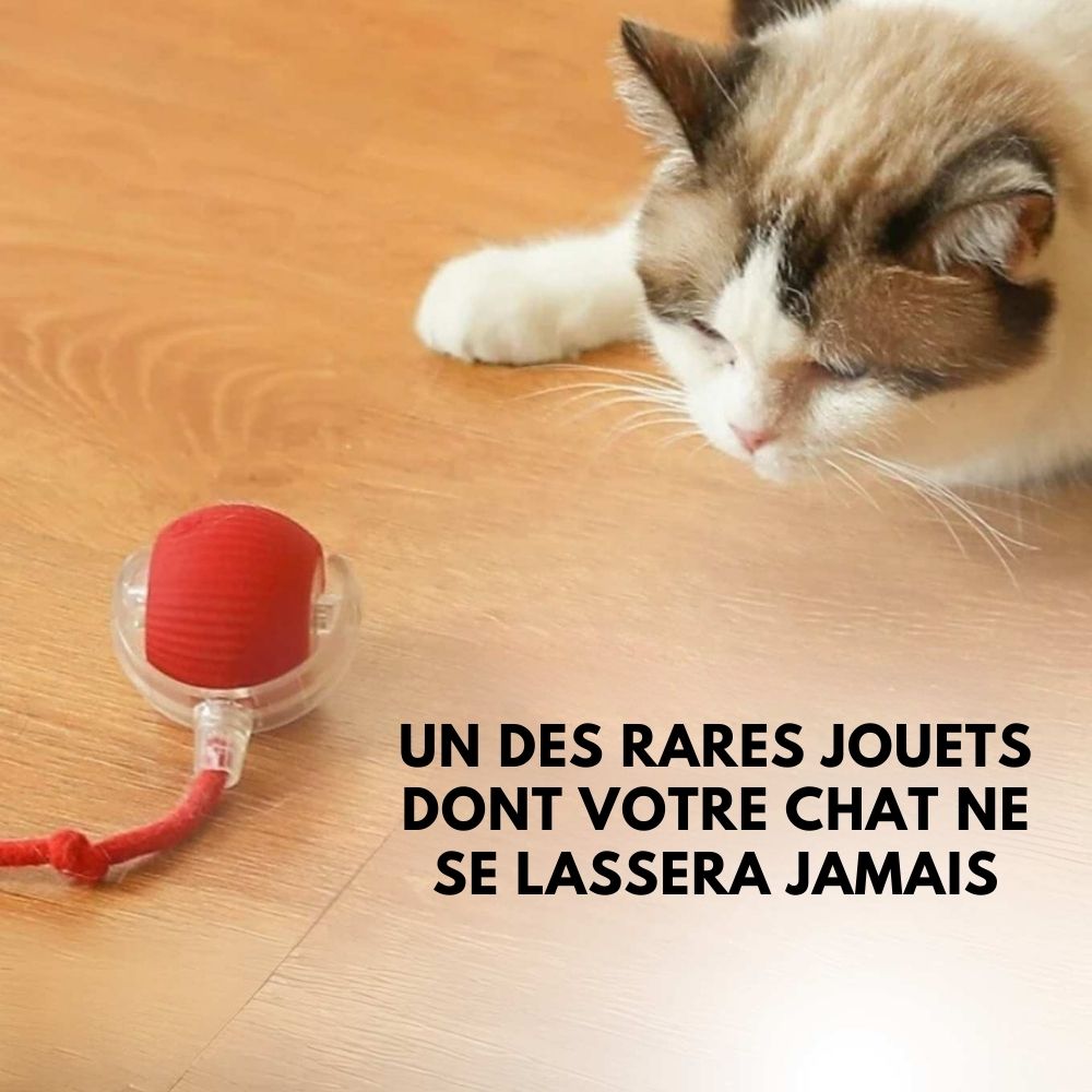 Power-Ball – La Balle Interactive Inarrêtable