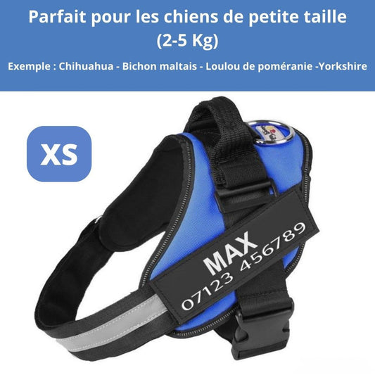 Harnais ComfortPro – Offrez à votre chien un confort inégalé !