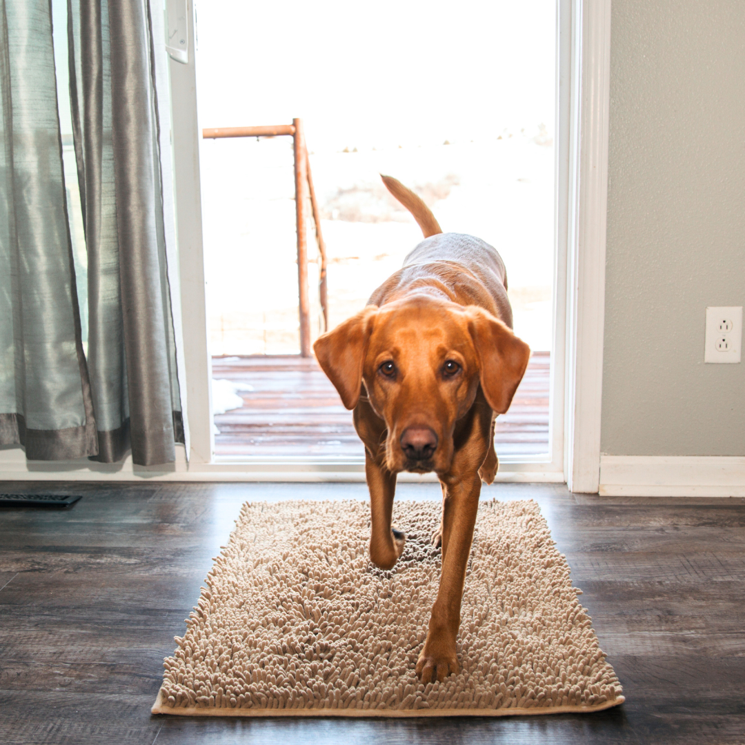 Tapis Absorbant Premium – Propreté garantie pour votre intérieur