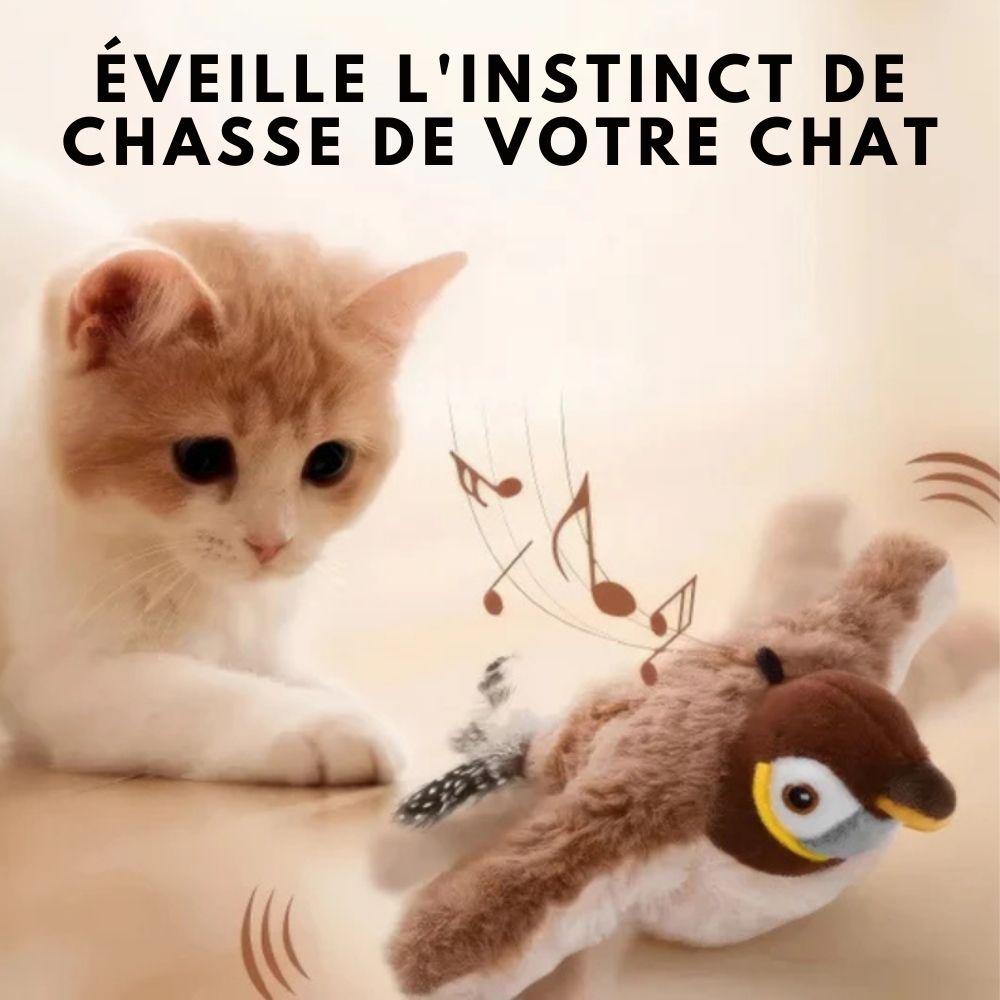 HappyBird – Stimolazione per il tuo compagno