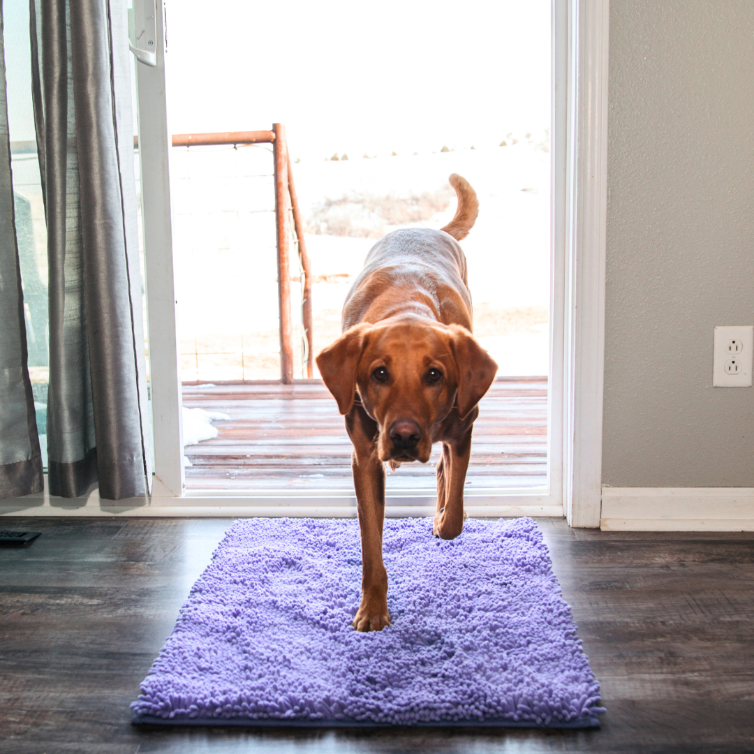 Tapis Absorbant Premium – Propreté garantie pour votre intérieur