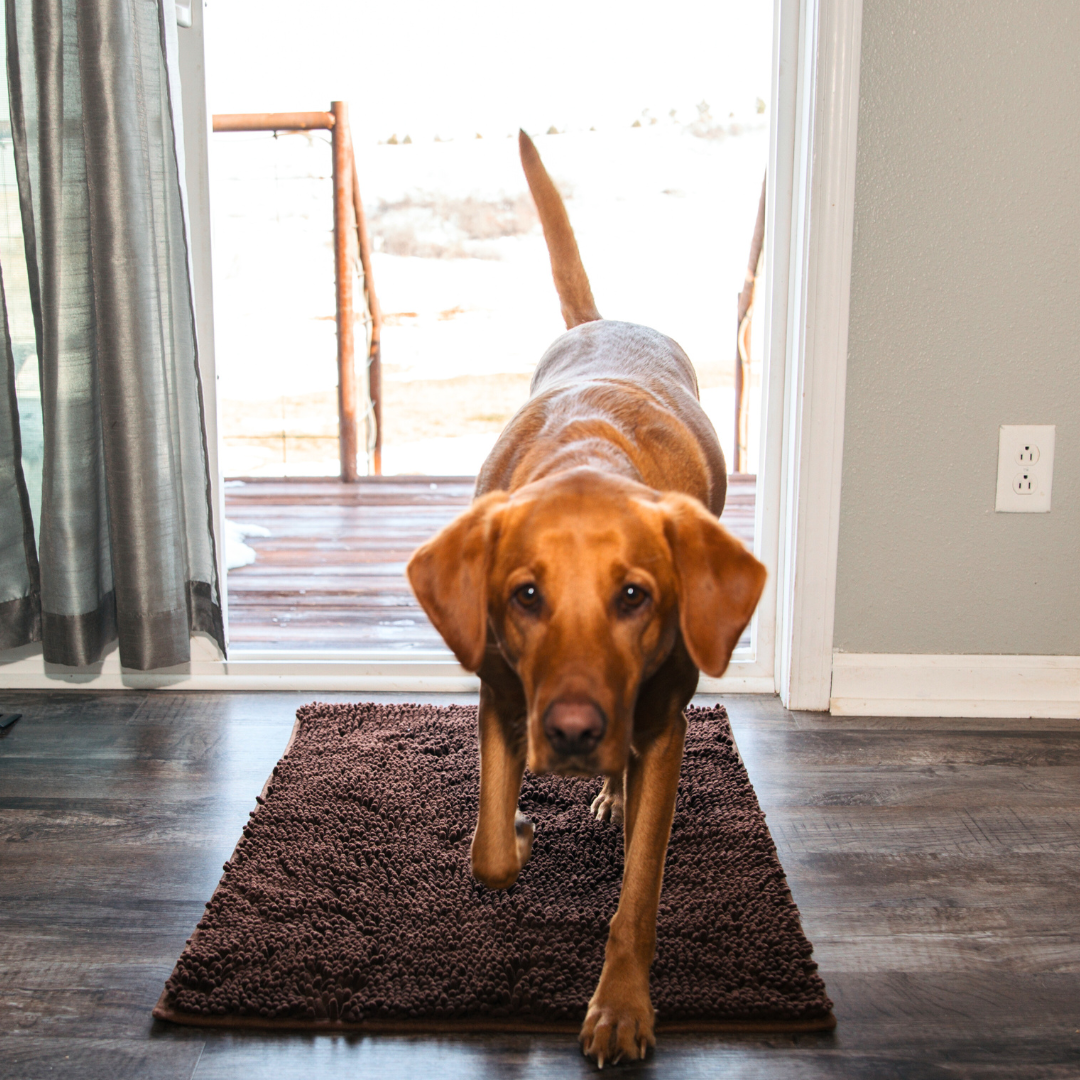Tapis Absorbant Premium – Propreté garantie pour votre intérieur