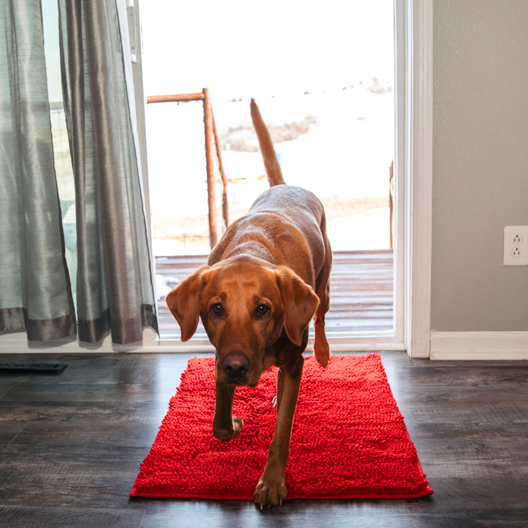 Tapis Absorbant Premium – Propreté garantie pour votre intérieur