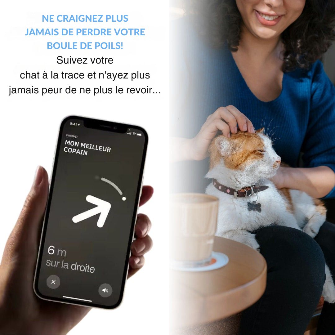 Collier GPS ChatZen – Gardez un œil bienveillant sur votre compagnon