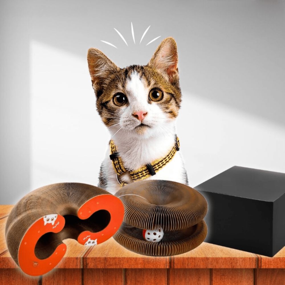 SpiraPlay - Stimulez l’esprit et le corps de votre chat