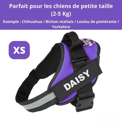 Harnais ComfortPro – Offrez à votre chien un confort inégalé !