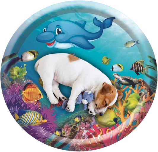 CoolPet Pool – Offrez à votre compagnon une pause fraîcheur