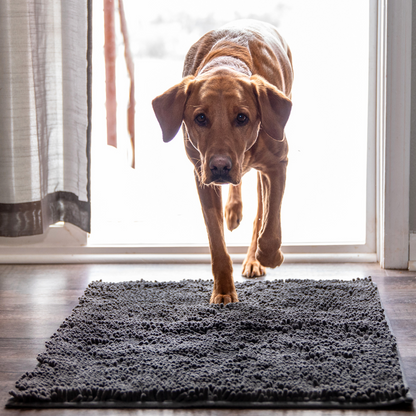 Tapis Absorbant Premium – Propreté garantie pour votre intérieur