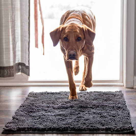 Tapis Absorbant Premium – Propreté garantie pour votre intérieur