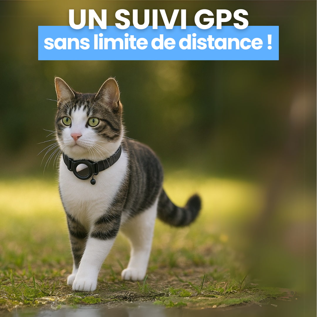 Collier GPS ChatZen – Gardez un œil bienveillant sur votre compagnon