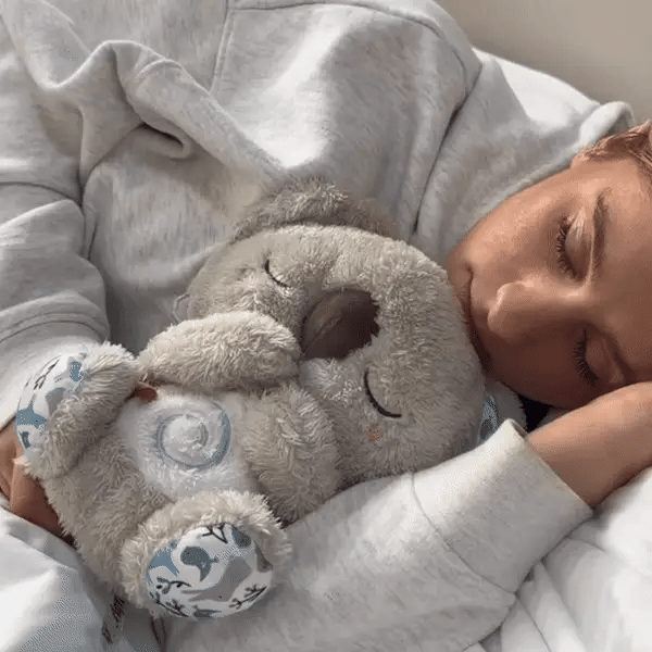 Koala Apaisant – Endormez-vous en toute sérénité